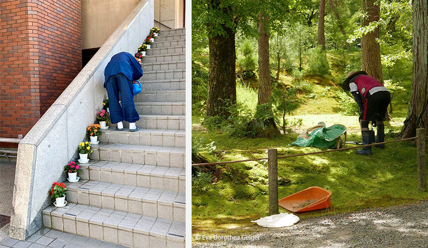 Summer in Japan 03