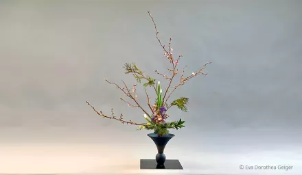 Prunus Rikka Shofutai